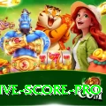 all cricket live score - Casino Champion