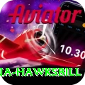 antigua hawksbill Pro Edition v5.3.1
