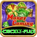 australian cricket Gaming Mega v3.2.1