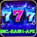 bbl big bash apk Apps (Tools & Injectors) Deluxe v3.9.3