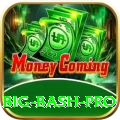 big bash - Pro v3.2.6