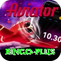 bingo Premium Edition v2.4.6