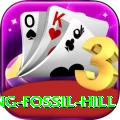 chhusang fossil hill Deluxe v5.0.8