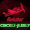 cricket jersey Gold v4.7.0