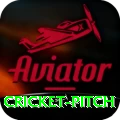 cricket pitch Premium Plus v1.3.4