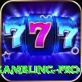 gambling VIP New