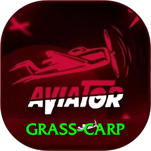 grass carp Plus v2.1.7 - 2