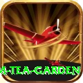 hile ilam tea garden Premium v3.9.3