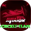 hong kong cricket team Pro