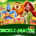 india cricket match Max Pro v5.7.3