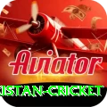 india pakistan cricket Master v3.2.7