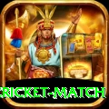 india pakistan cricket match Premium Edition v3.8.0