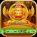 india pakistan cricket Extreme Latest v3.8.4