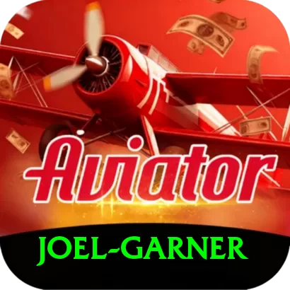 joel garner Plus Pro v4.6.0 - 2