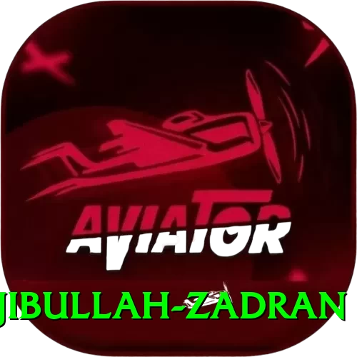 najibullah zadran Max Pro v3.7.0 - 2