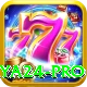 Naya24 Casino Pro v2.0.6