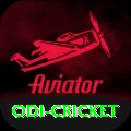 odi cricket Deluxe Pro v2.2.1