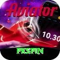 pkspin VIP v3.2.4