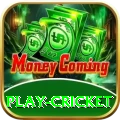 play cricket Apps (Tools & Injectors) Ultimate v2.3.8