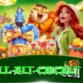 risk free bet cricket Elite v5.0.4