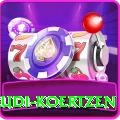 rudi koertzen Premium Plus v5.9.0