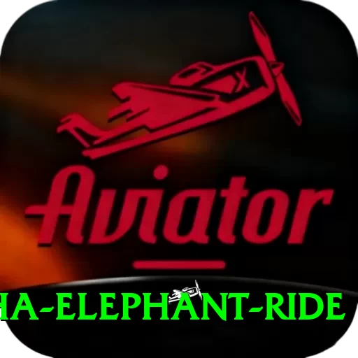 sauraha elephant ride VIP Edition v1.2.6 - 2