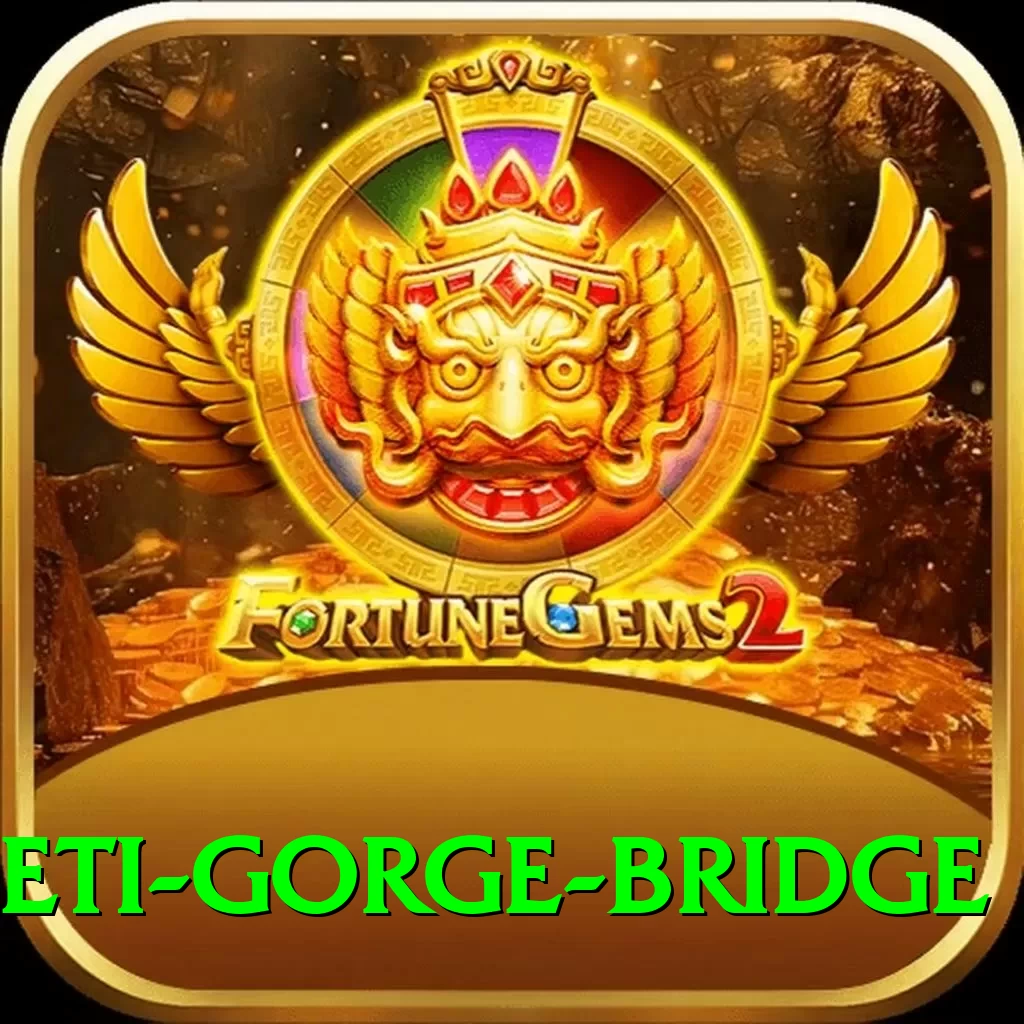 seti gorge bridge Pro v5.5.2 - 2