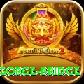 seti gorge bridge Pro v5.5.2