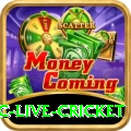 smartcric live cricket Games (Casino & Earning) Gold v3.1.9