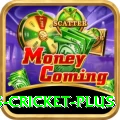 sports cricket Casino Official v3.0.4