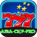 t20 asia cup VIP 2024