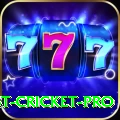 test cricket Casino Supreme v1.9.1