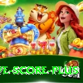 tnpl live score Live Casino Legend