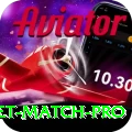 to day cricket match Gaming Champion v2.5.5