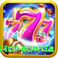 top batsman top bowler Premium Edition v5.2.8
