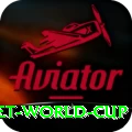 u19 cricket world cup Plus Pro v1.4.8