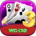 wc t20 Gold Pro v4.7.2
