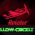 willow cricket VIP Edition v4.4.8