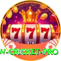 willow cricket - Real Money Plus