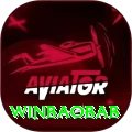 winbaobab Premium Edition v2.1.1